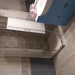 Pieno Centro Storico A 博洛尼亚
