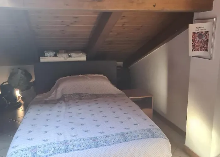 Pieno Centro Storico A Bolonia